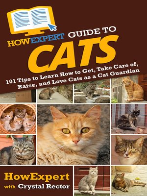 cover image of HowExpert Guide to Cats